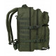 Тактичний рюкзак Mil-Tec Assault MOLLI 36 к. с. Olive (Оліва)